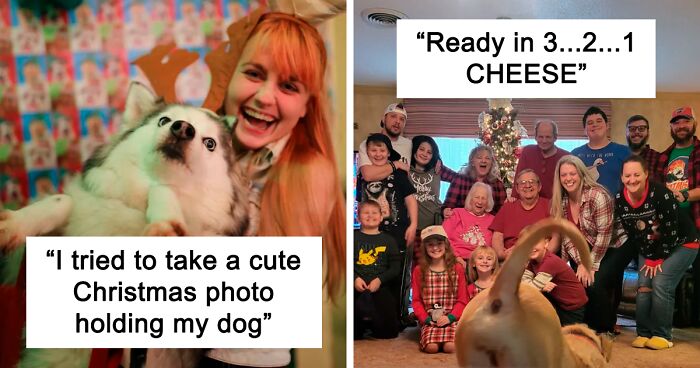 65 Hilariously Cute Animals That Got The Last ‘Hoot’ On Christmas