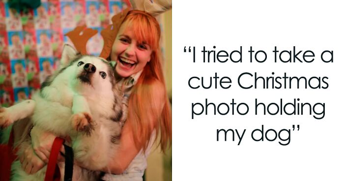 65 Of The Most Adorable Animals That Embraced The Christmas Spirit