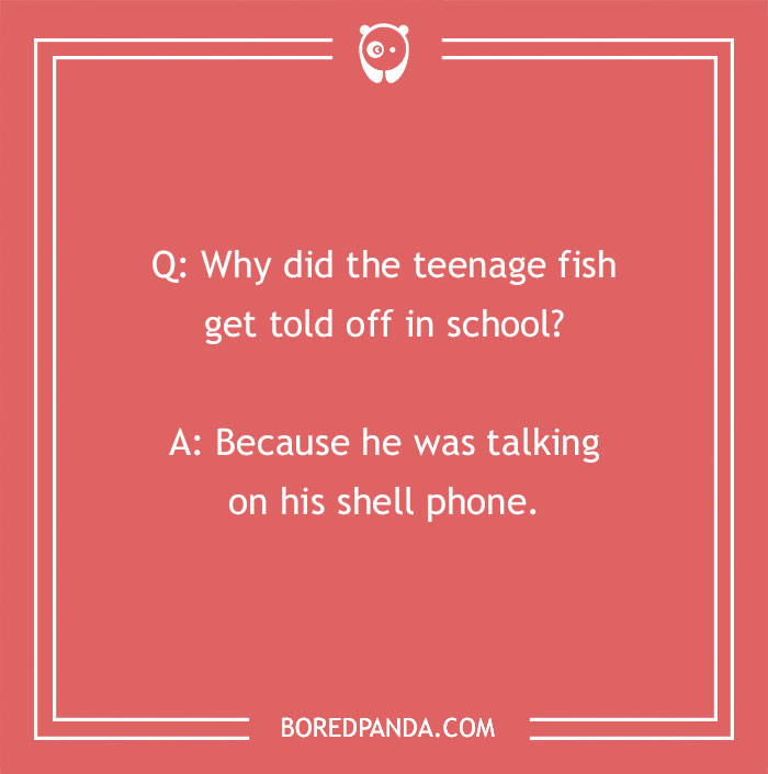 Funny Fishing Jokes to Get Your Buddies Laugh-fin