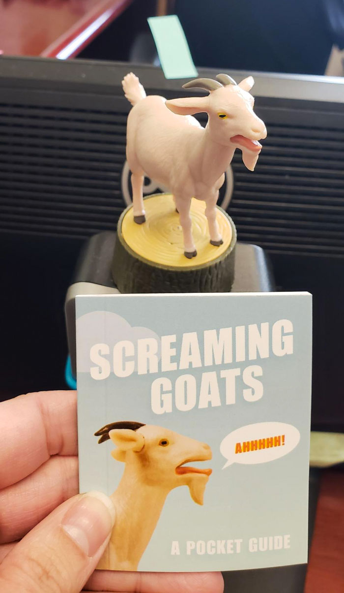 The Screaming Goat: The perfect blend of humor, internet sensation, and stress relief that'll bring the LOLs to their day!