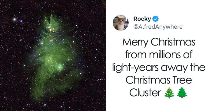 NASA Discovers Cluster Of Young Stars That Resembles The Shape Of A Christmas Tree