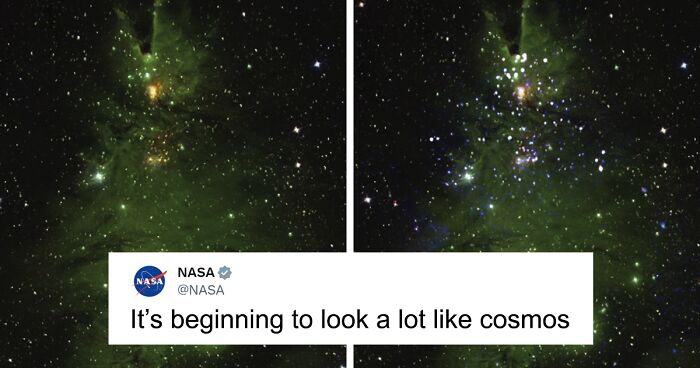 “Celestial Holiday Delight”: People React To Cluster Of Stars That Looks Like A Christmas Tree