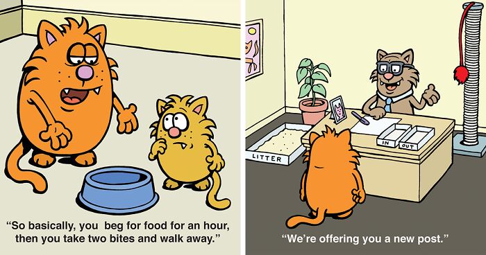 50 Funny Comics Depicting Mischievous Cats By This Artist (New Pics)