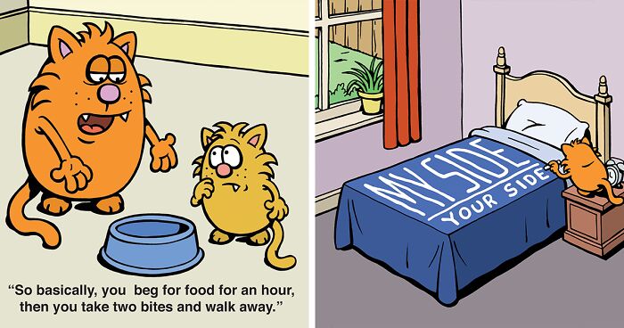 These One-Panel Cat Comics By Anthony Smith Purrfectly Capture What Having A Cat Is Like (50 New Pics)