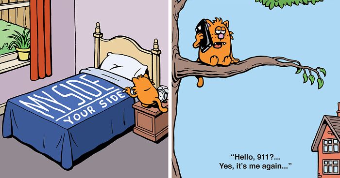 50 Funny Comics Showcasing Daily Struggles In A Cat’s Life By Anthony Smith (New Pics)