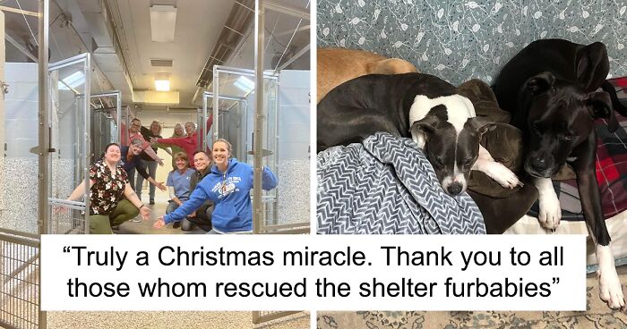 “Y’all Are Heroes”: Pennsylvania Animal Shelter Empty After Finding Home For Nearly 600 Animals