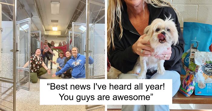 “It’s Been A Busy Year”: Animal Shelter Sits “Miraculously” Empty After Mass Dog Adoptions