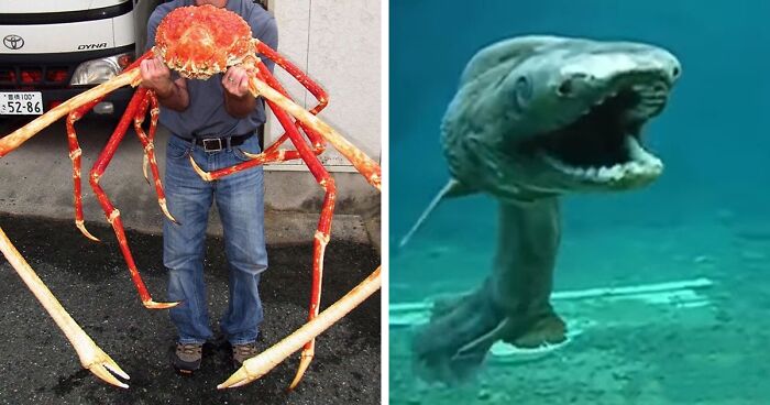 32 Of The Scariest Things In The Ocean With Photographic Proof That Are Freaking People Out