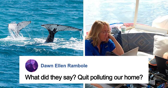 “We’ve Been Heard”: Humpback Whale Speaks With Scientists For 20 Minutes In Her Own Language