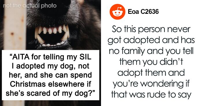 Woman Wants Her SIL To Board Her Dog During Christmas Because She’s Scared Of Him