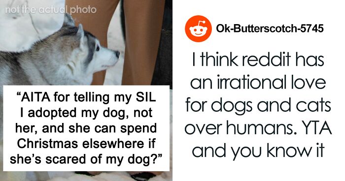 SIL Who's Afraid Of Dogs Wants Woman To Send Away Her Dog For Christmas So She Can Come