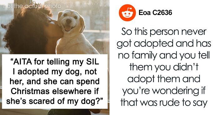 SIL Is Terrified Of Dogs, Refuses To Stay In The House With One, Is Told To Celebrate Elsewhere