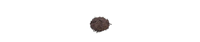 multiple black flower seeds illustration 