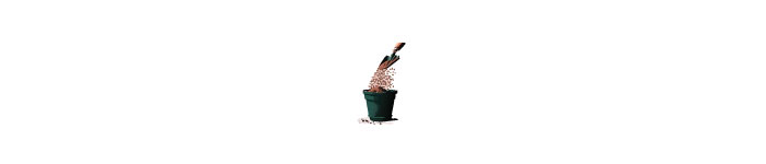 Filling a pot with potting mix illustration 