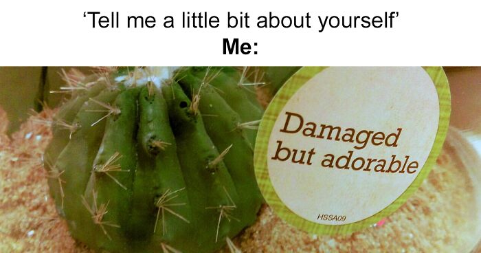 39 Memes To Make Your Day More Wholesome, As Shared On This Facebook Page