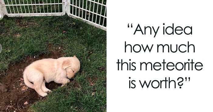 This Facebook Group Shares Wholesome Memes, And Here Are 39 Of The Best Ones