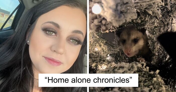 “I Just Went For It And Handled It Myself”: Woman Discovers Wild Possum In Her Christmas Tree