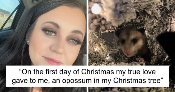 Jolly Wild Possum Discovered In Texas Woman’s Christmas Tree After It Sneezes