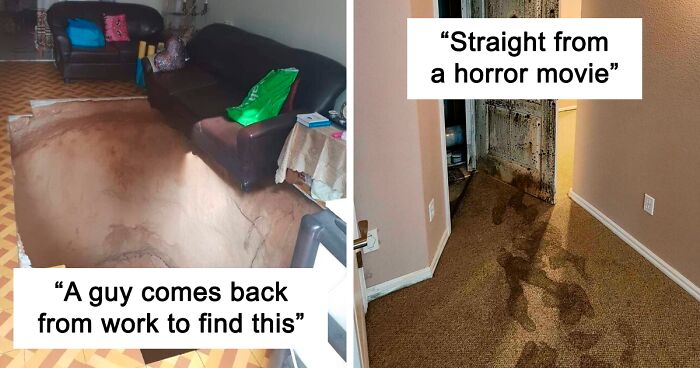 Home Inspectors Are Sharing The Worst Things They’ve Seen On The Job (60 Pics)