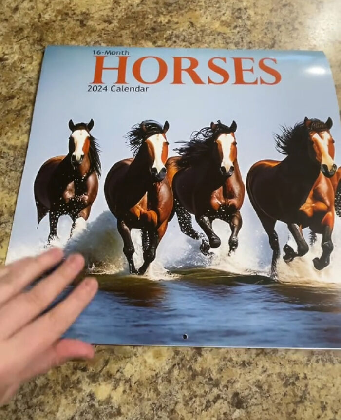 Woman Unpacks Her 99-Cent Horse Calendar, Realizes It's AI-Generated
