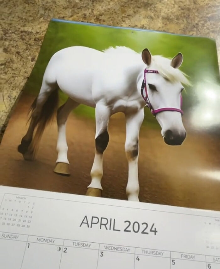 Woman Unpacks Her 99-Cent Horse Calendar, Realizes It's AI-Generated