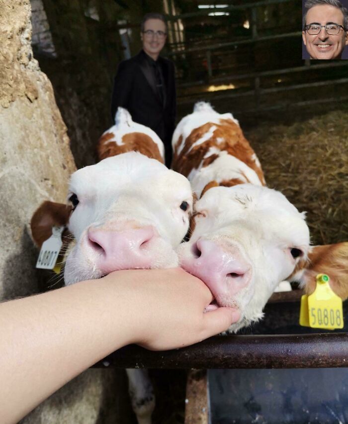 These Two Girls Aren’t Very Friendly Yet, But They Still Like To Chomp On My Hand