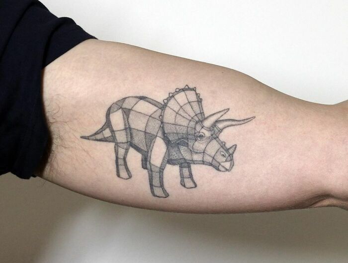 Fully-Healed Triceratops