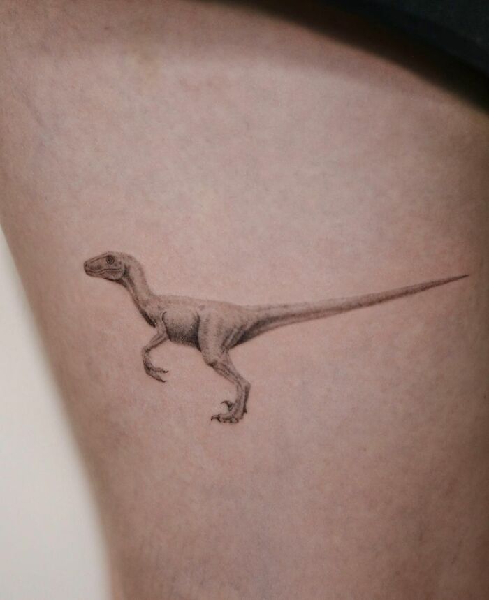 Velociraptor