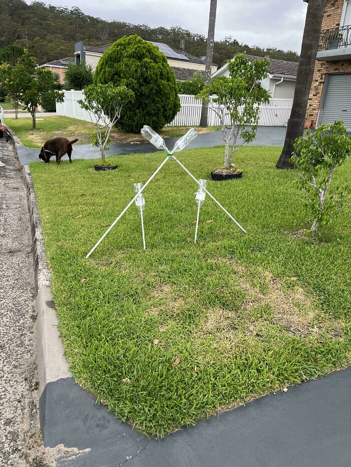 Plastic Bottles On Poles Arranged As An X, In Australia