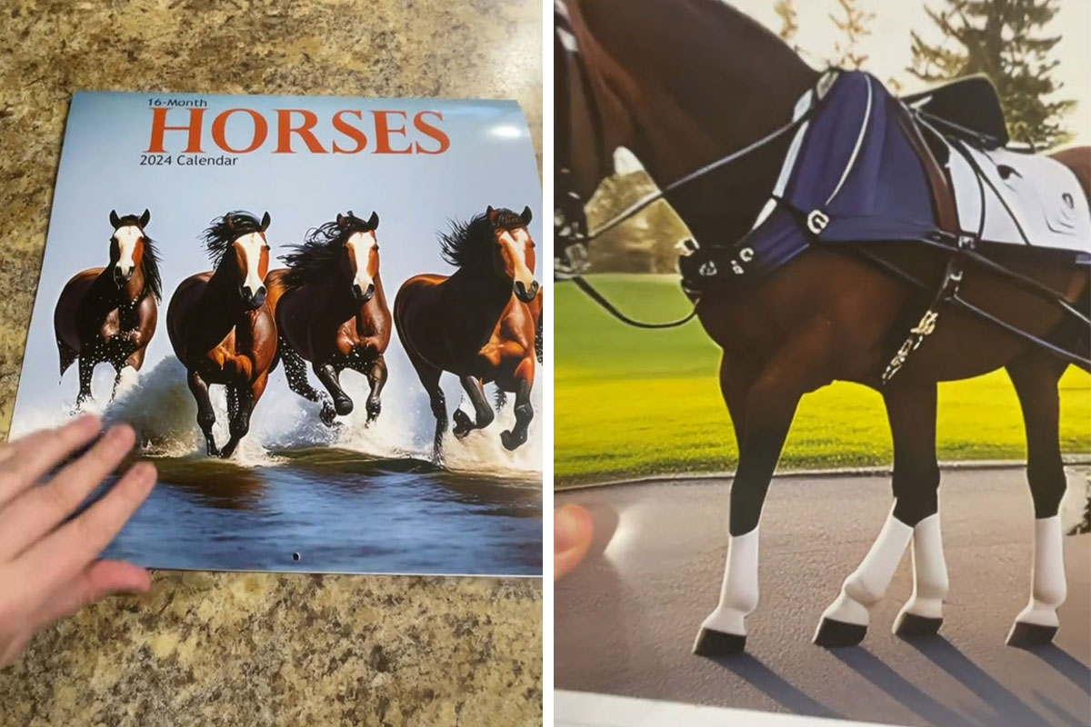 Woman Thinks She Bought A Simple Horse Calendar, Starts Noticing Odd