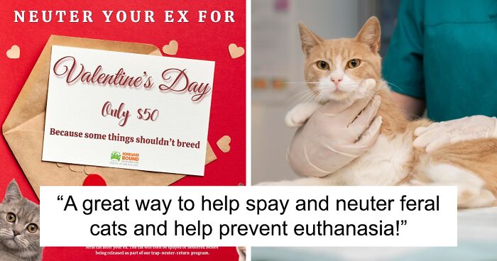 New Jersey Shelter Wants You To “Neuter Your Ex” This Valentine’s Day With Fund-Raising Event