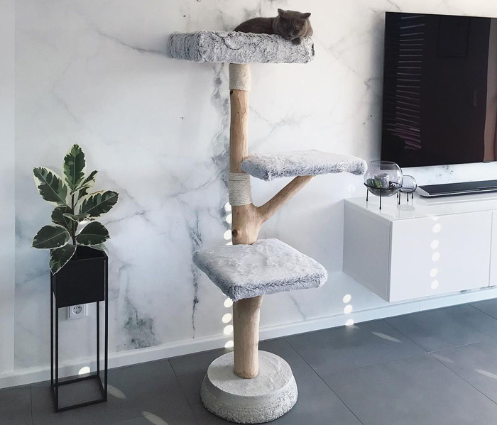 cat sleeping on the cat tree