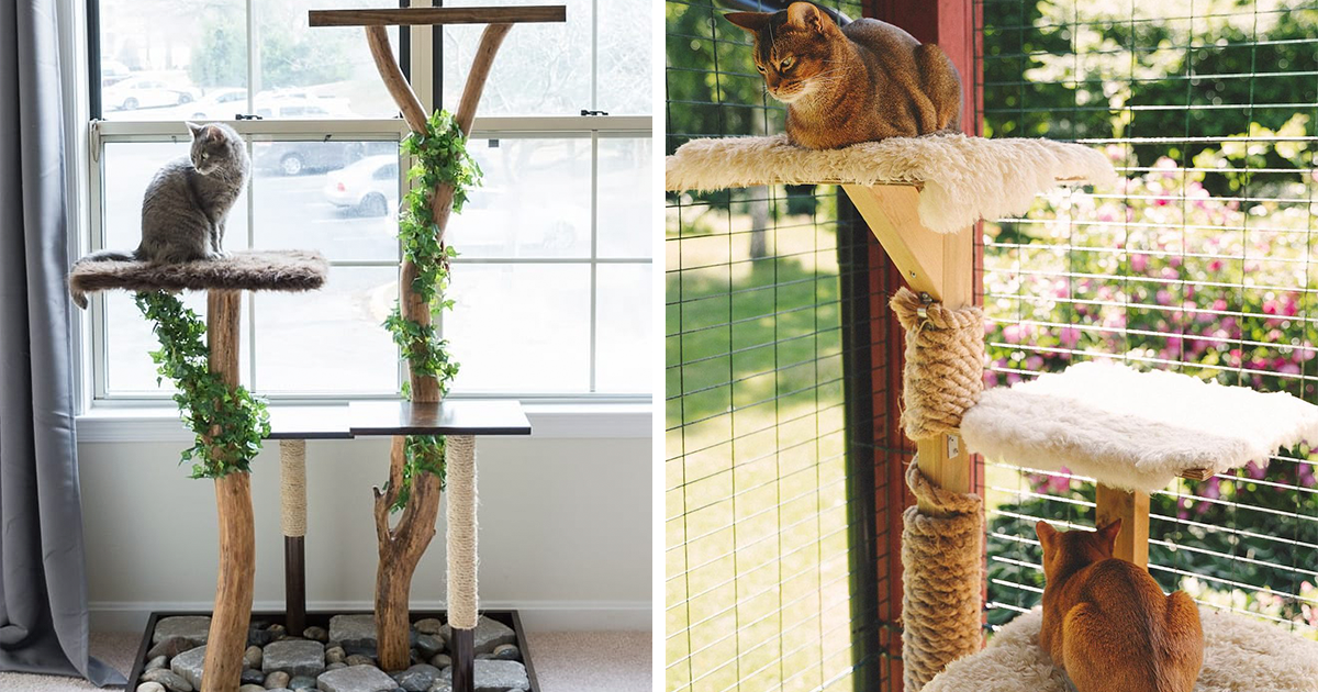 Diy cat tree using hotsell real tree