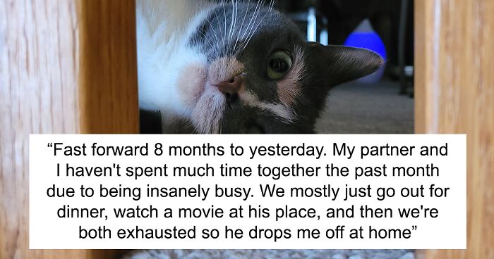 Guy Has To Endure Cat’s Pettiness When He Doesn’t Visit GF For A Month, Netizens Love It