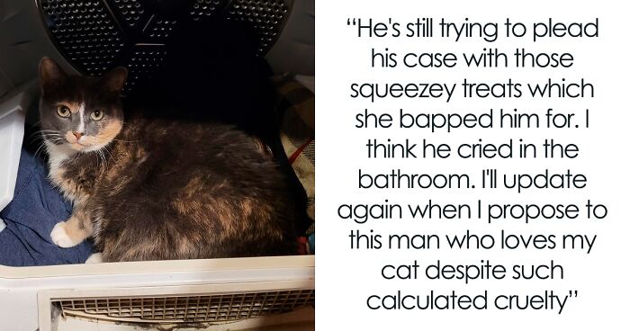 Guy Has To Endure Cat’s Pettiness When He Doesn’t Visit GF For A Month, Netizens Love It