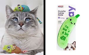 Top 10 Best Cat Chew Toys for Happy, Healthy Kitties