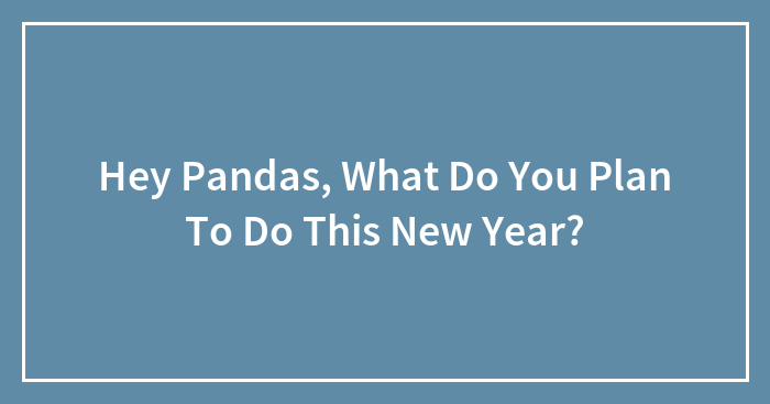 Hey Pandas, What Do You Plan To Do This New Year? (Closed)