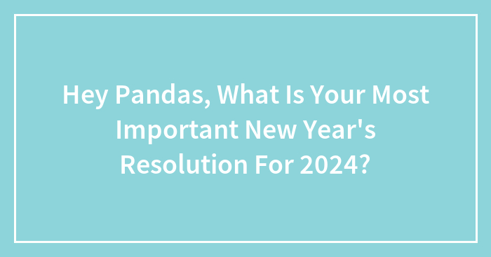 Hey Pandas, What Is Your Most Important New Year’s Resolution For 2024? (Closed)