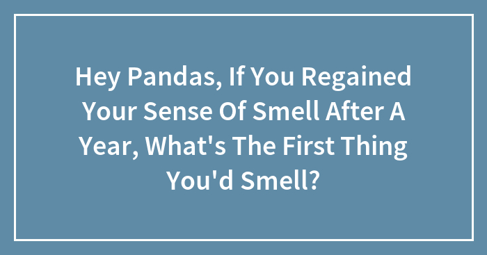 Hey Pandas, If You Regained Your Sense Of Smell After A Year, What’s The First Thing You’d Smell? (Closed)