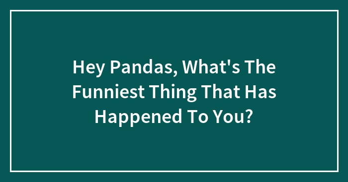 Hey Pandas, What’s The Funniest Thing That Has Happened To You? (Closed)