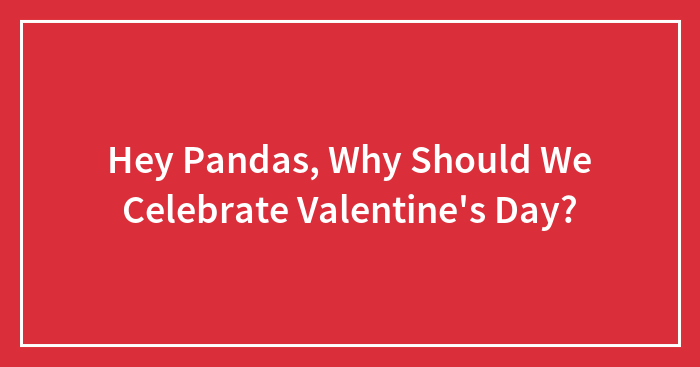 Hey Pandas, Why Should We Celebrate Valentine’s Day? (Closed)