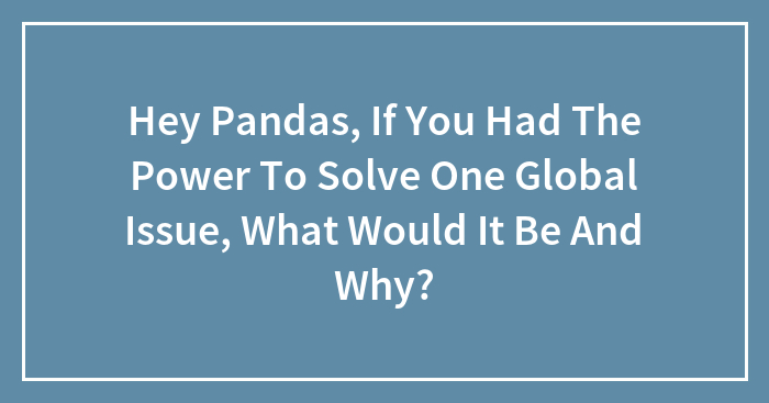 Hey Pandas, If You Had The Power To Solve One Global Issue, What Would It Be And Why? (Closed)