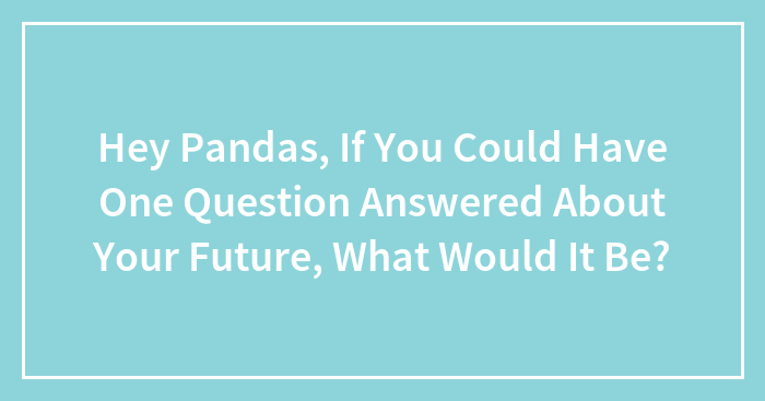 Hey Pandas, If You Could Have One Question Answered About Your Future, What Would It Be? (Closed)