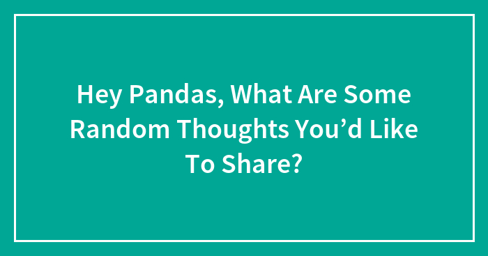 Hey Pandas, What Are Some Random Thoughts You’d Like To Share? (Closed)