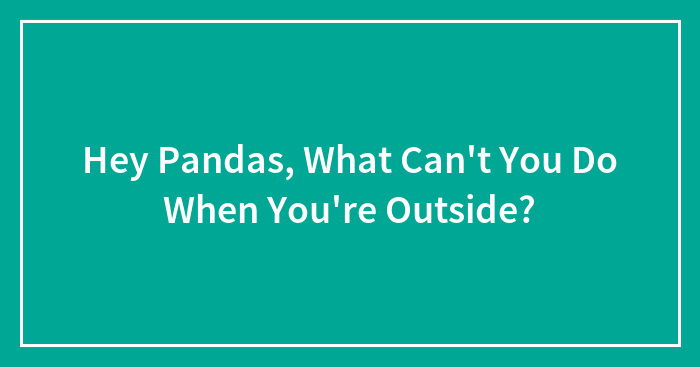 Hey Pandas, What Can’t You Do When You’re Outside? (Closed)