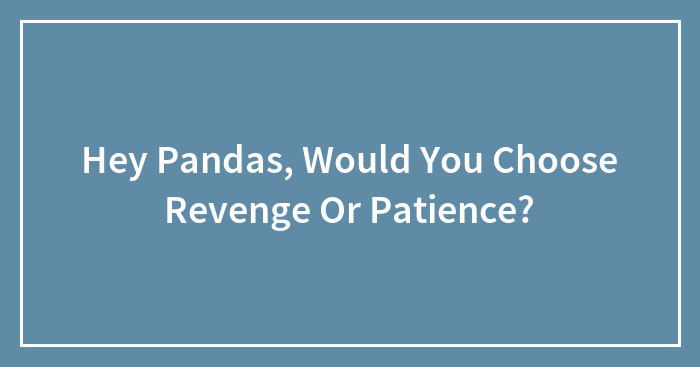 Hey Pandas, Would You Choose Revenge Or Patience? (Closed)