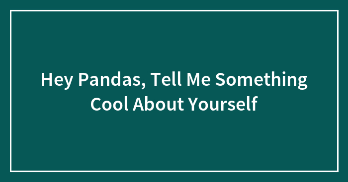 Hey Pandas, Tell Me Something Cool About Yourself