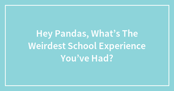 Hey Pandas, What’s The Weirdest School Experience You’ve Had?