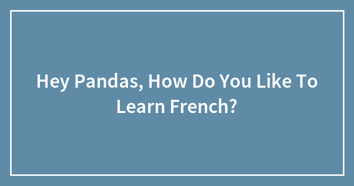 Hey Pandas, How Do You Like To Learn French? (Closed)