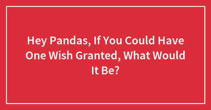 Hey Pandas, If You Could Have One Wish Granted, What Would It Be? (Closed)